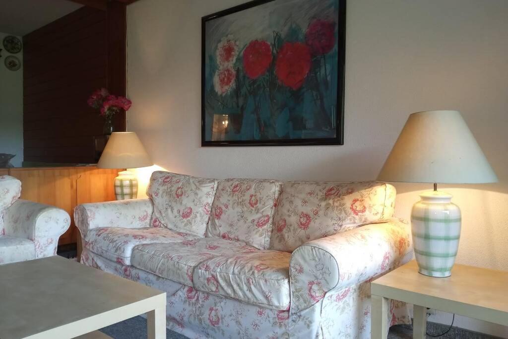 Seewohnung Ossiachersee Atemberaubendes Panorama 빌라흐 외부 사진