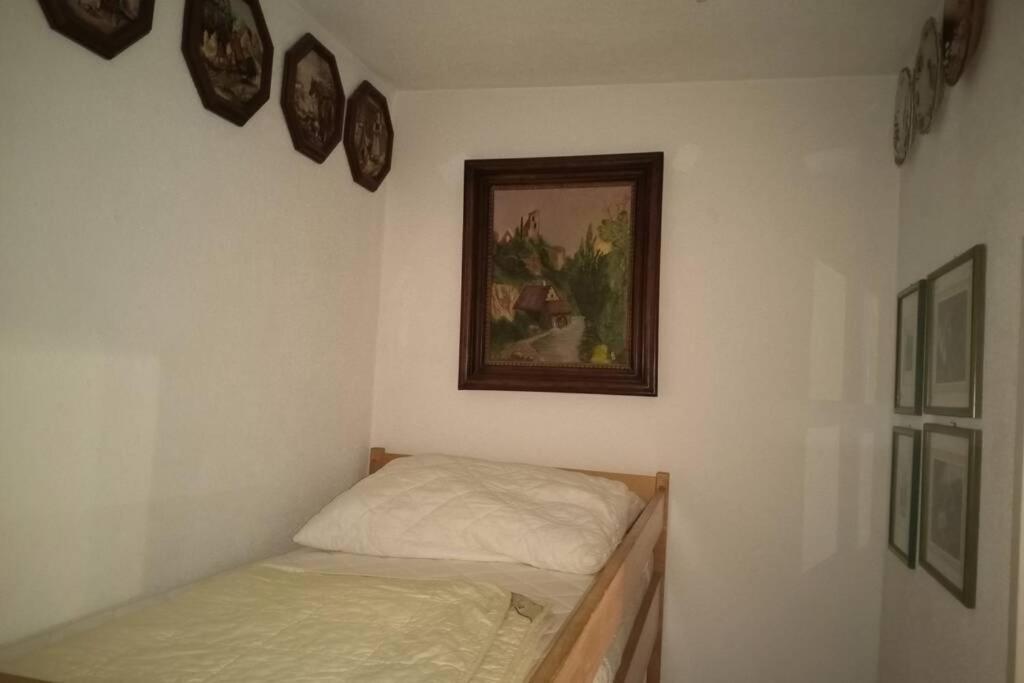 Seewohnung Ossiachersee Atemberaubendes Panorama 빌라흐 외부 사진